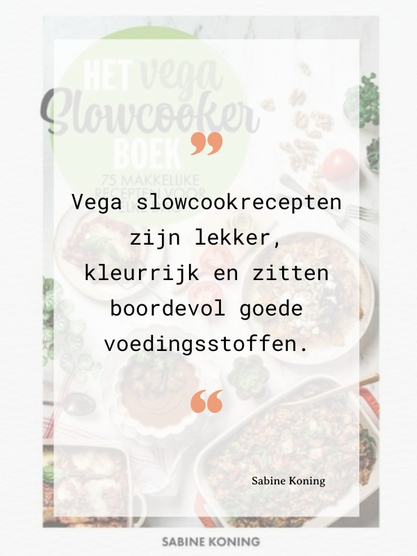 Vega Slowcookerboek